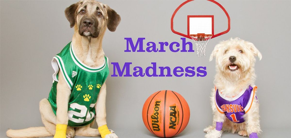 March Madness in Layman's Terms