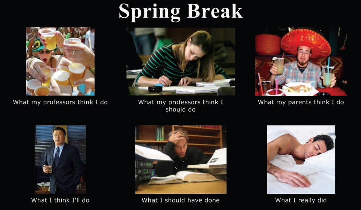 Spring Break: Expectations vs. Reality