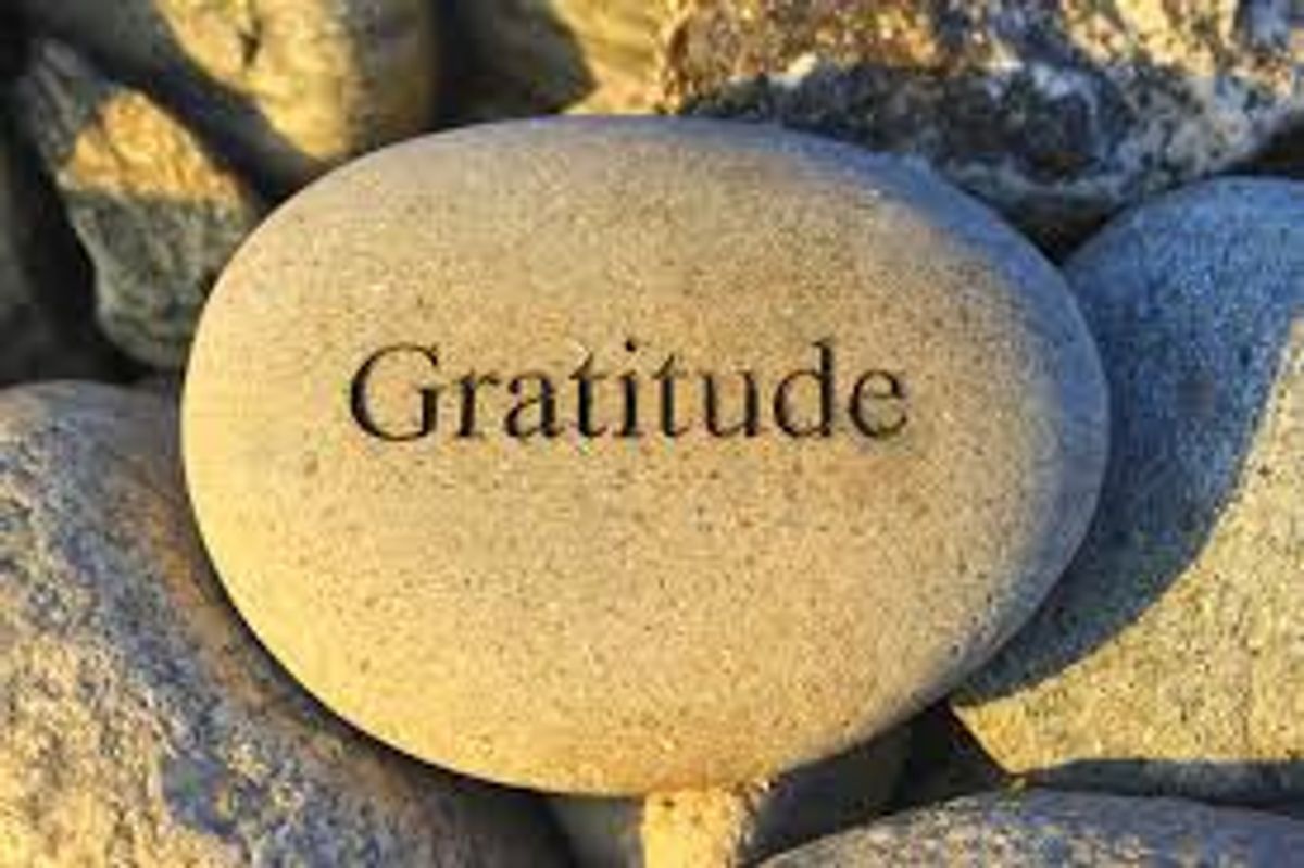 The Gratitude Project