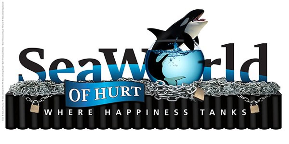 Captured Willy: The Truth About SeaWorld