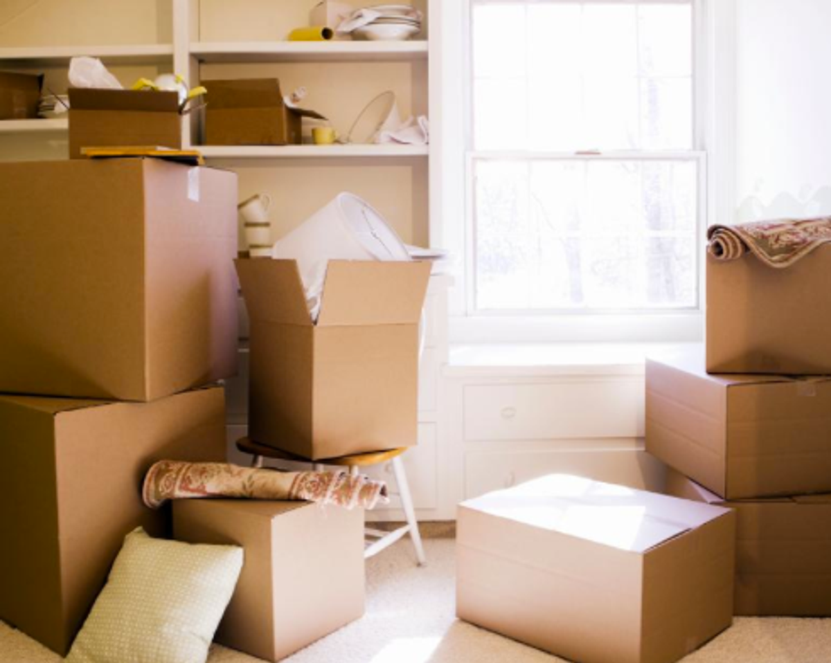 The Art Of Moving Out