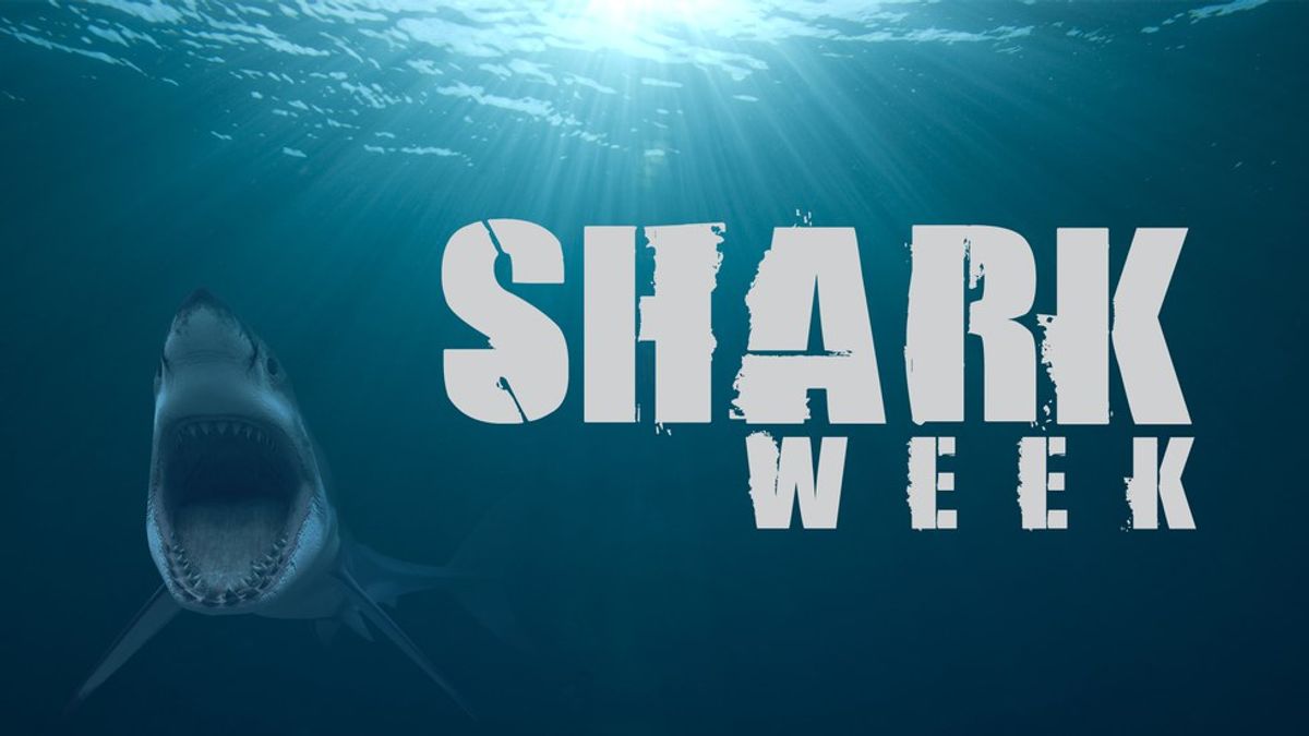 What's Really Cool About Shark Week