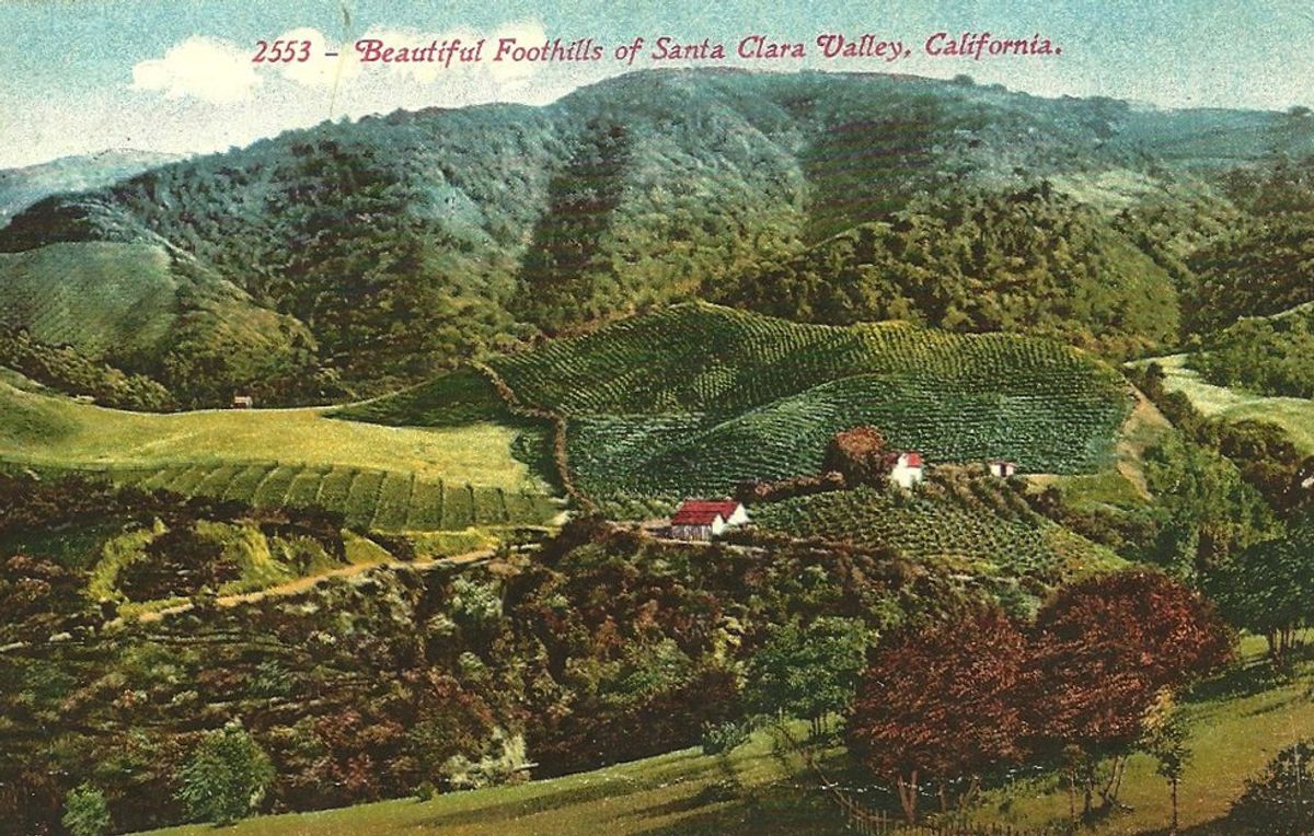 The Lost Orchards Of Silicon Valley