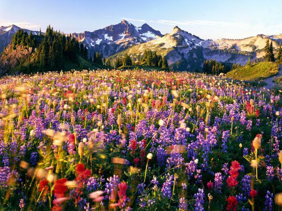 Top 10 National Parks in the United States