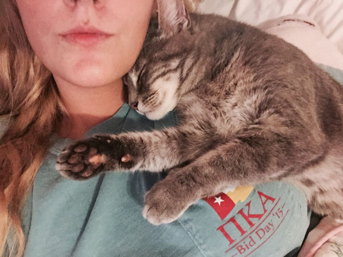 16 Signs Your Cat Is The Love Of Your Life