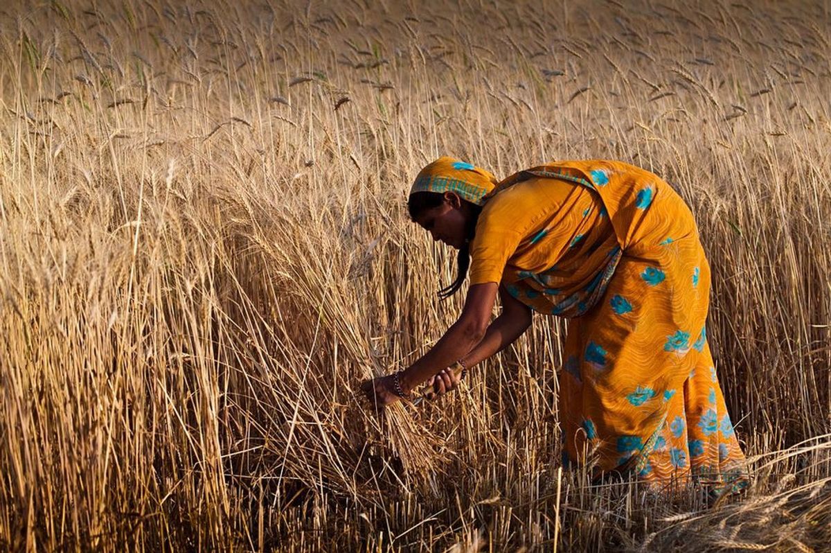 Women's Land Rights