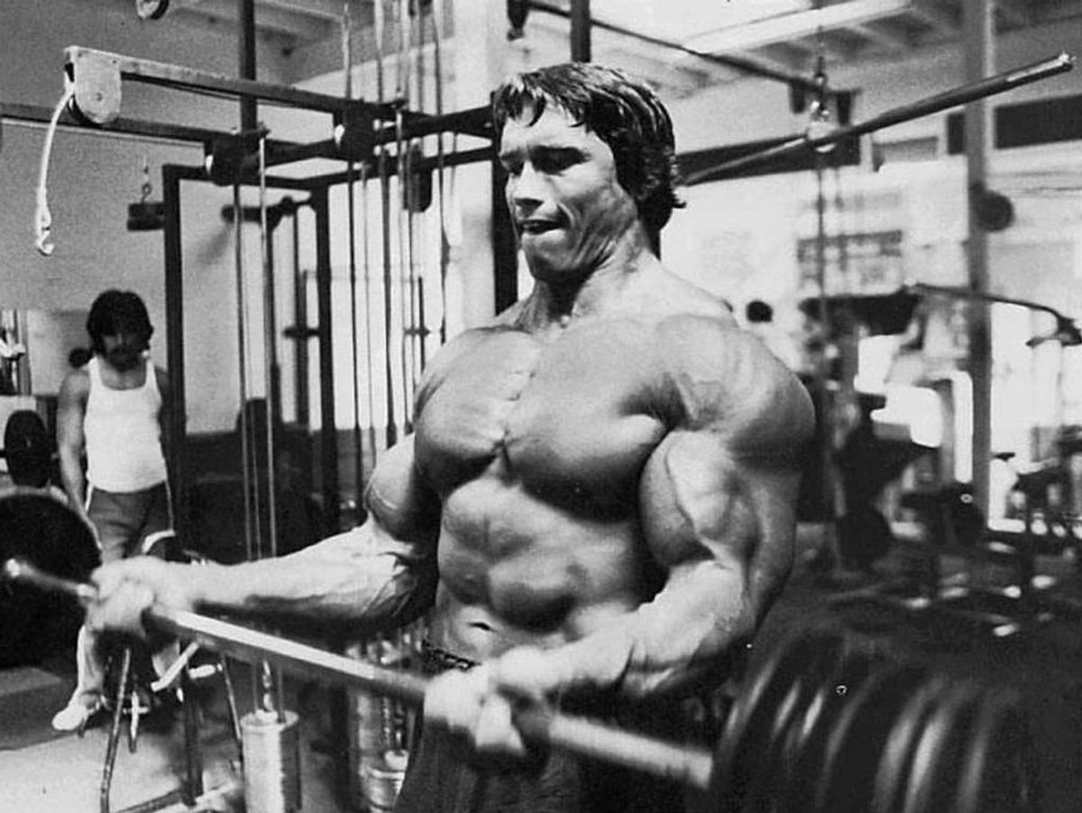 5 Things We Can Learn From Meatheads