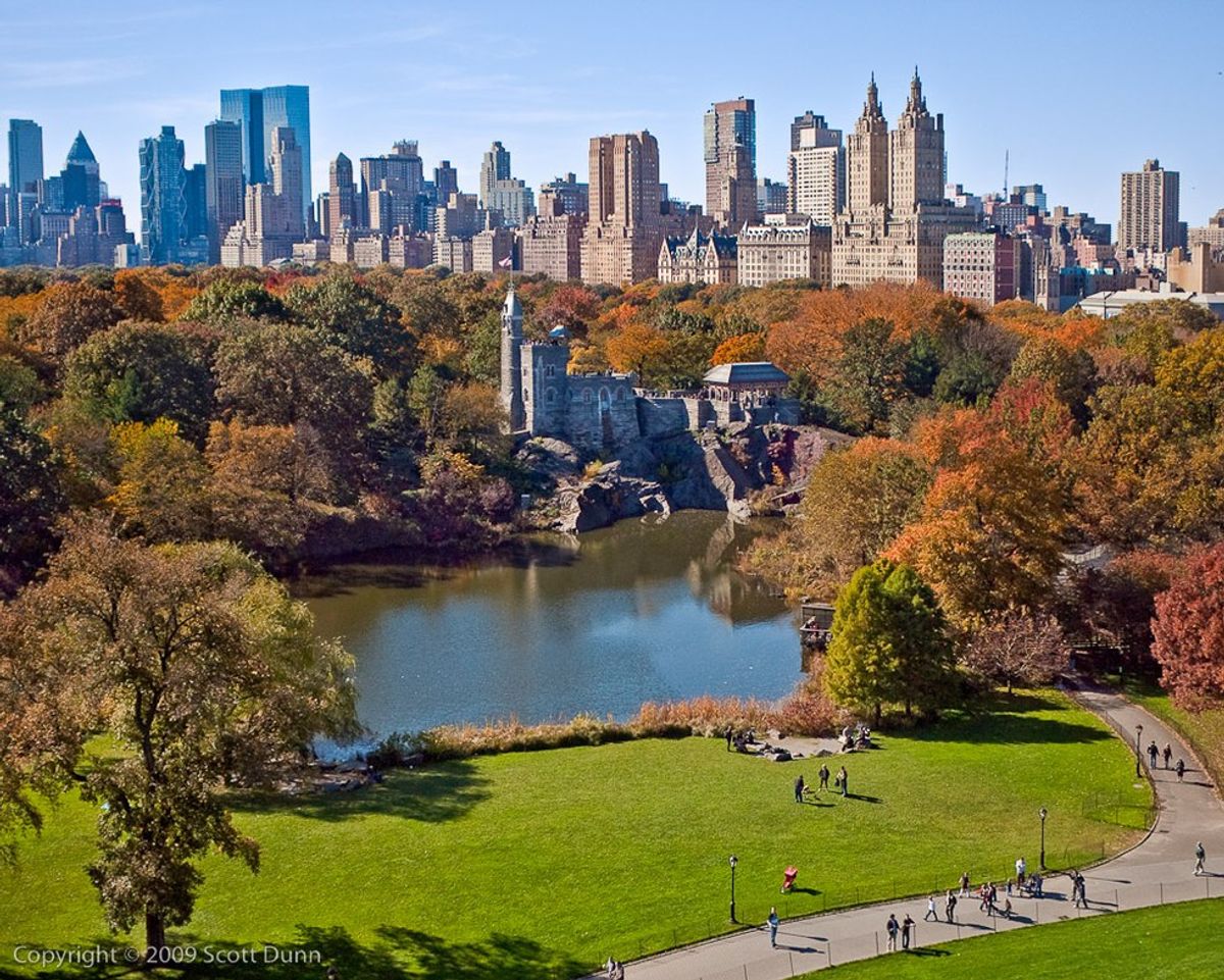 NYC Events You Don't Want to Miss This Fall