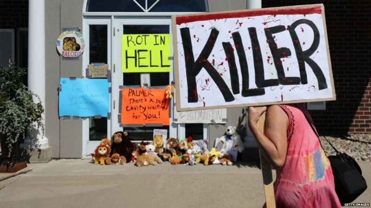 Cecil The Lion And The Dangers of Internet Vigilantism