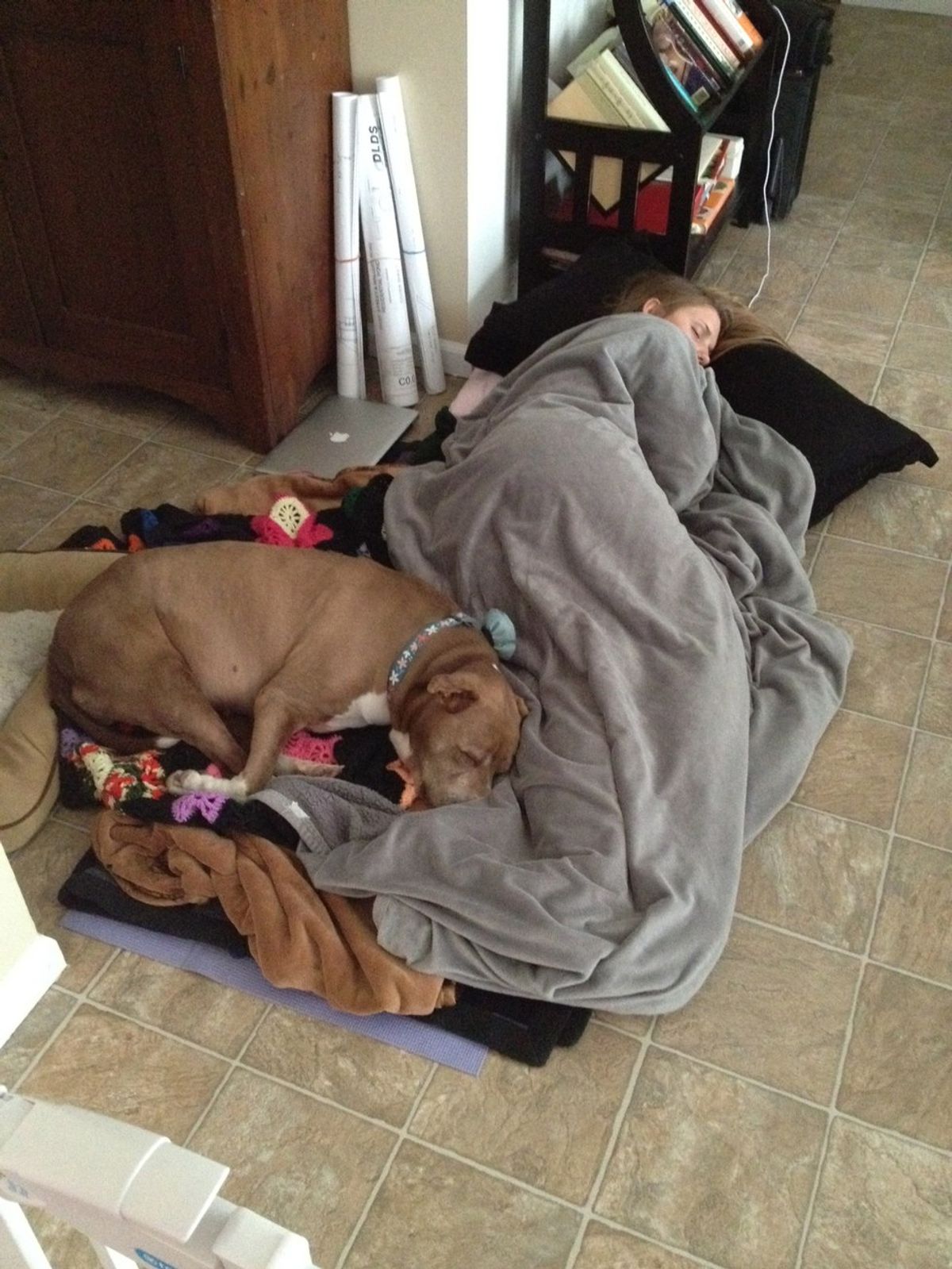 18 Signs You Are Obsessed With Your Dog