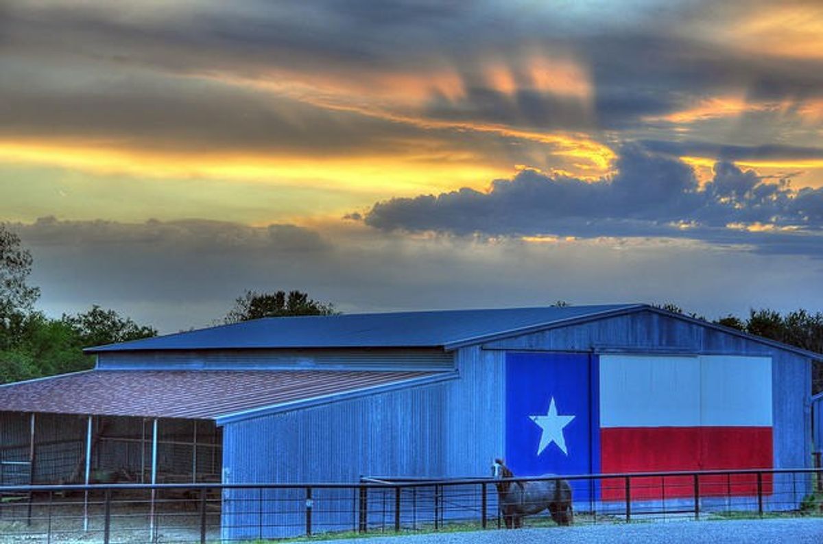 Yes, You Are A Stereotypical Texan