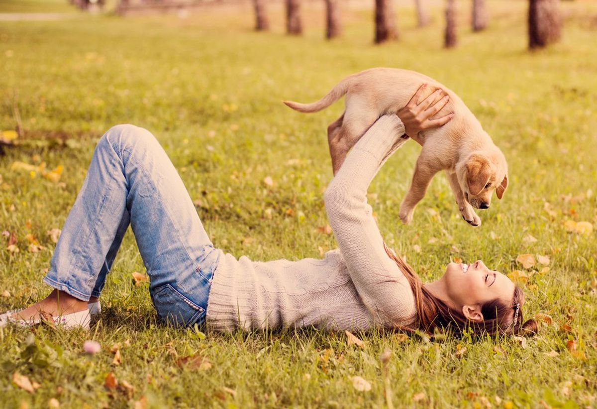 10 Things You Can Do For Your Dog