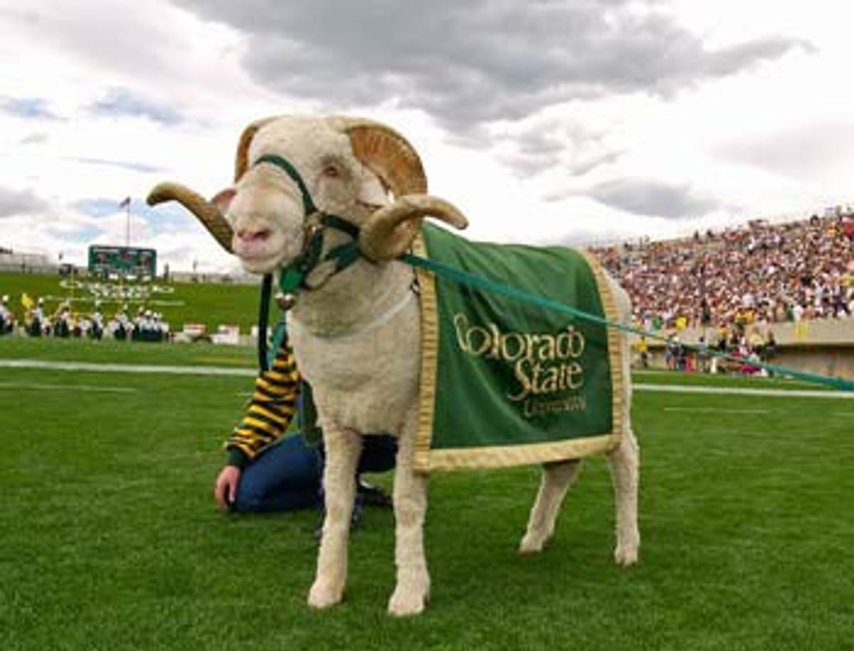 Everything You Need To Know About CAM The Ram