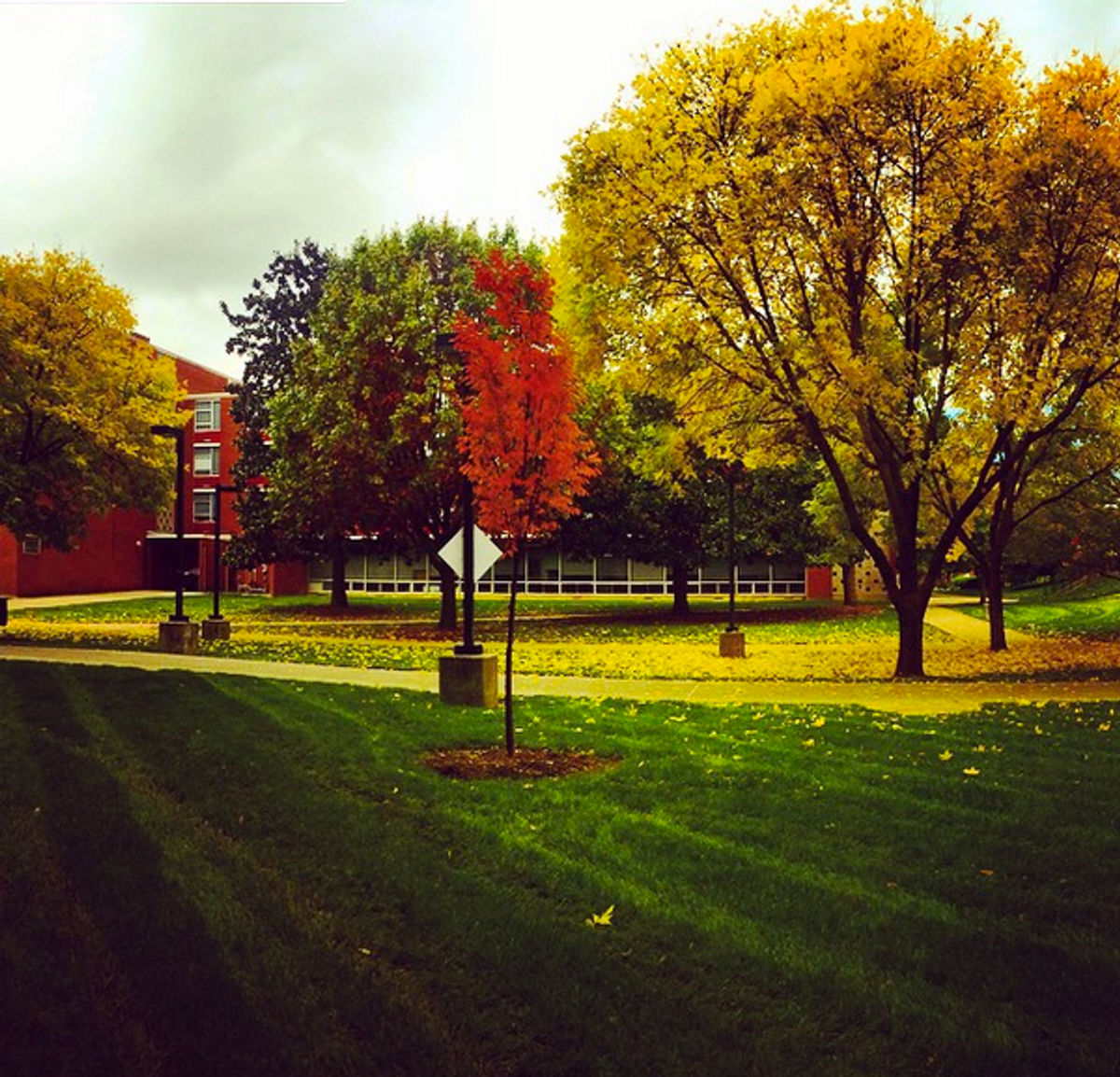 10 Reasons To Love Fall On Campus