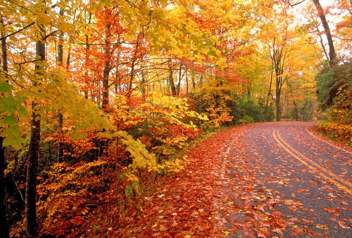 20 of the Greatest Things About Fall