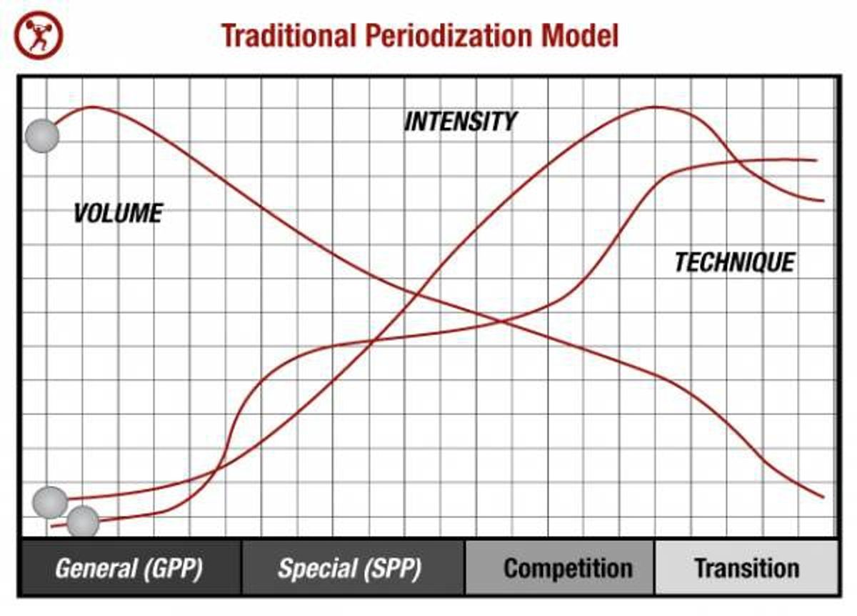 Periodization: The Stages For Strength Gains