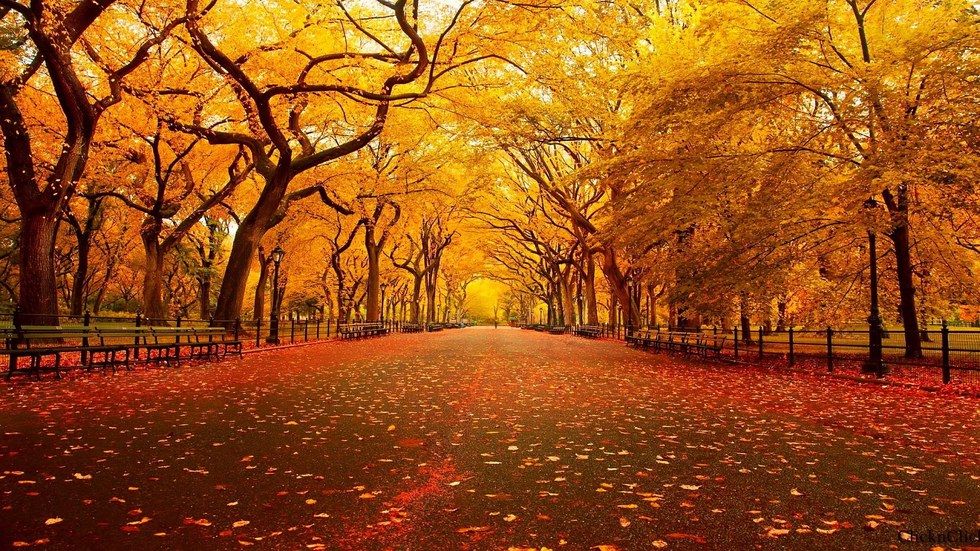 Why Fall Is The Best Season