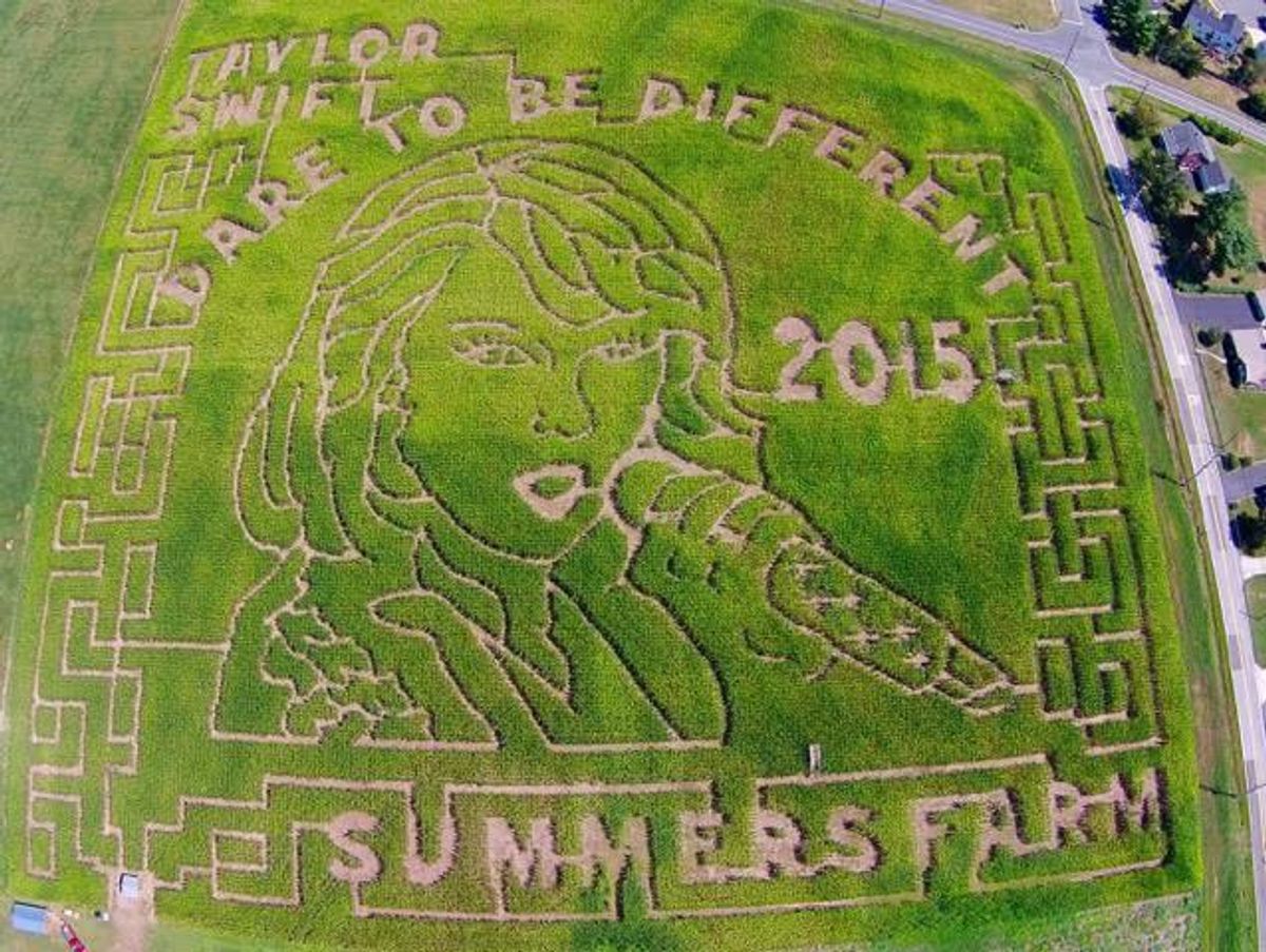 Maryland Taylor Swift Corn Maze "Dares To Be Different"