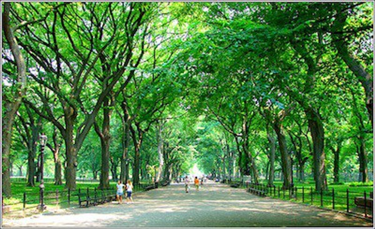 Best Parks In New York City