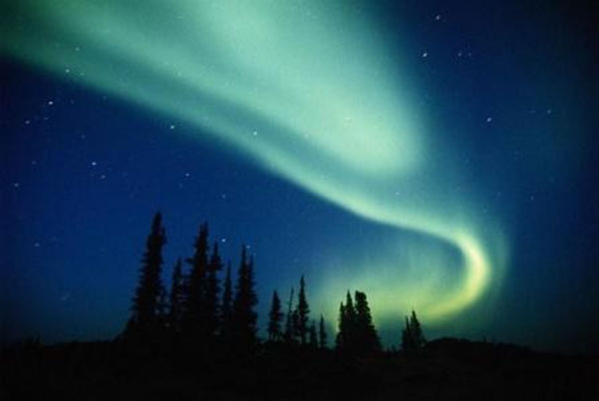 Everything You Need To Know About Polar Lights