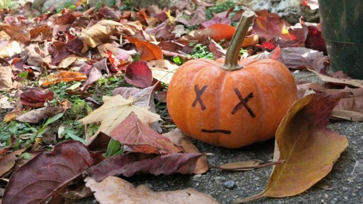 5 Ways To Get Over The Fact That Halloween Is Over