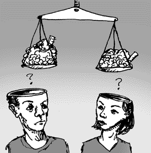 How Waffles And Spaghetti Resemble The Male And Female Brain