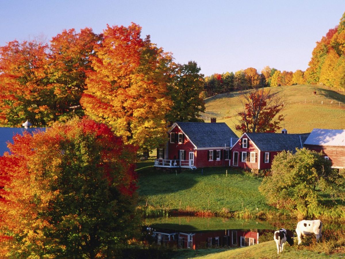 8 Things You'll Miss About Vermont