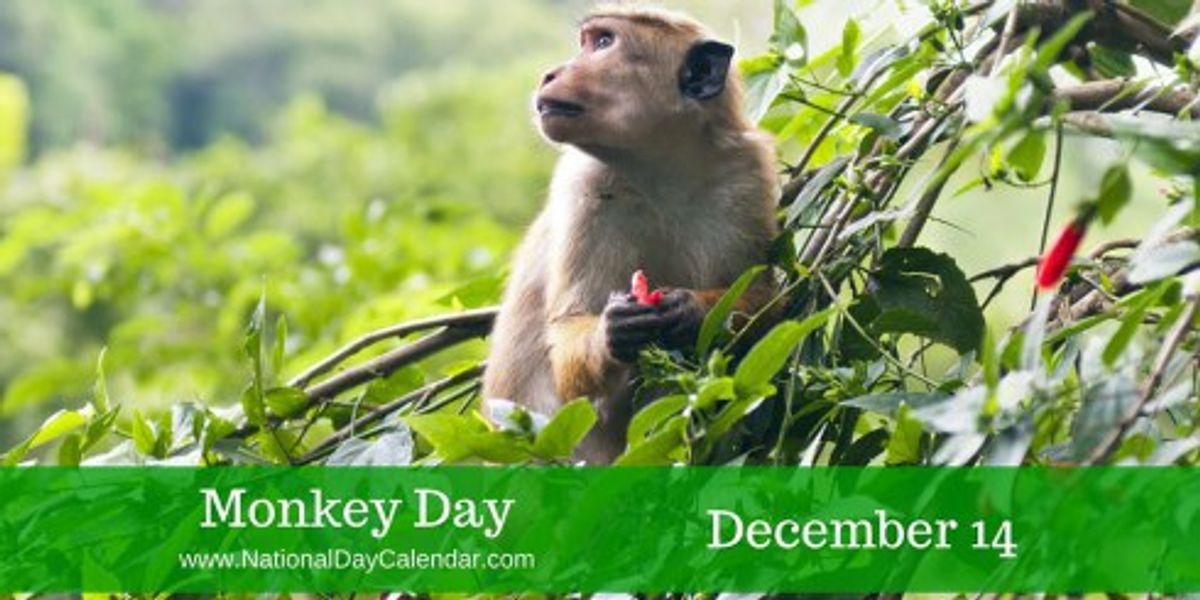 5 Strangest Holidays In December