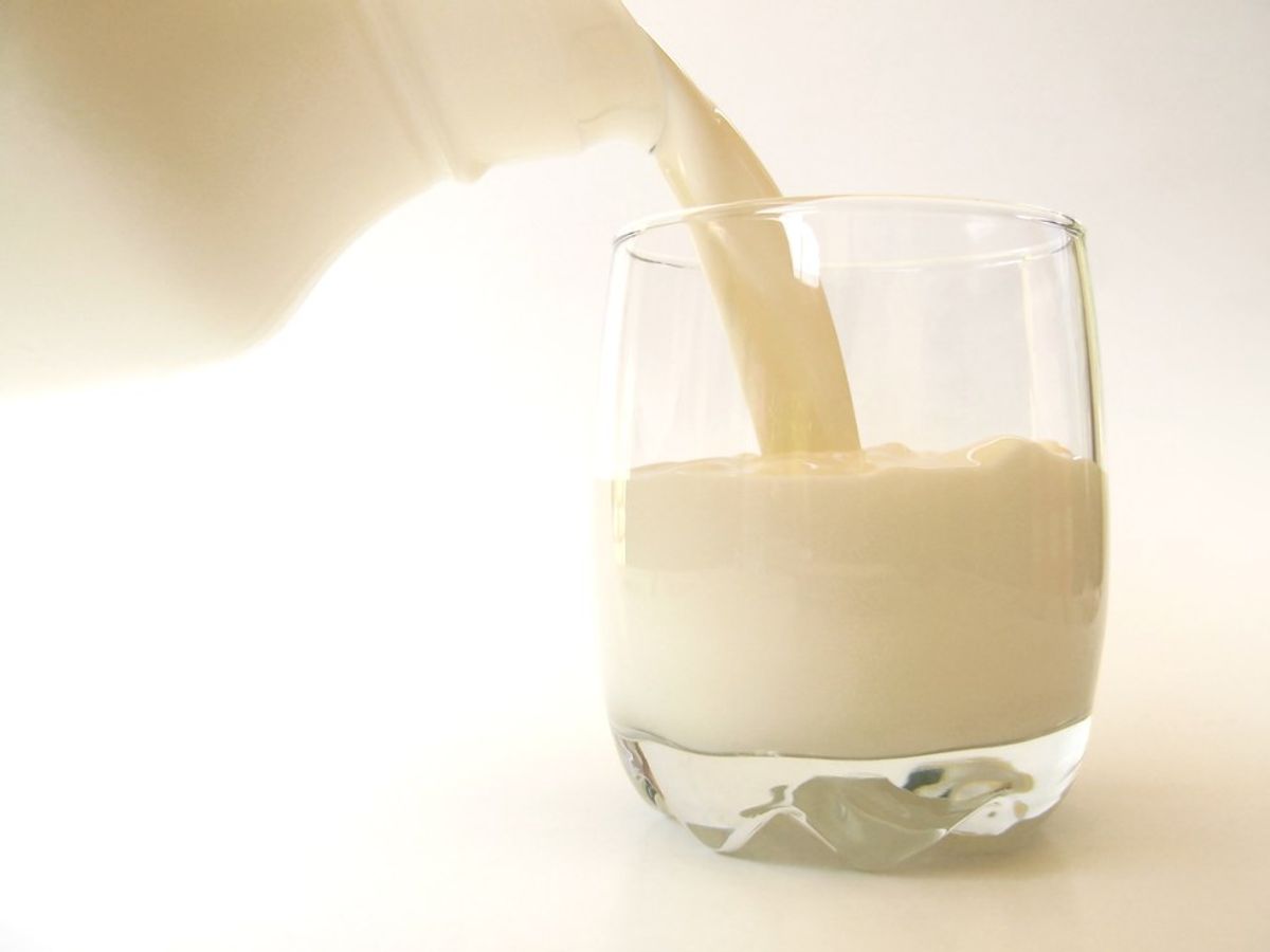 Is Milk Actually Bad For Us?