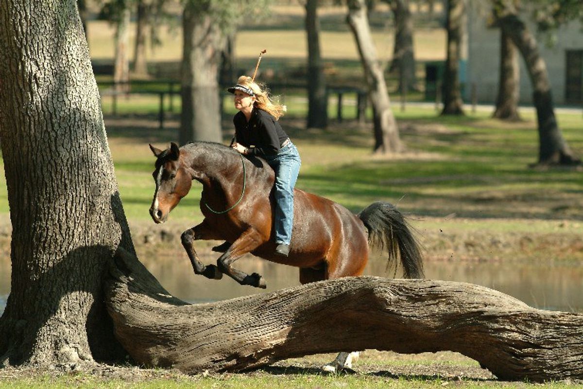 10 Natural Horsemanship Lessons That Apply To Life