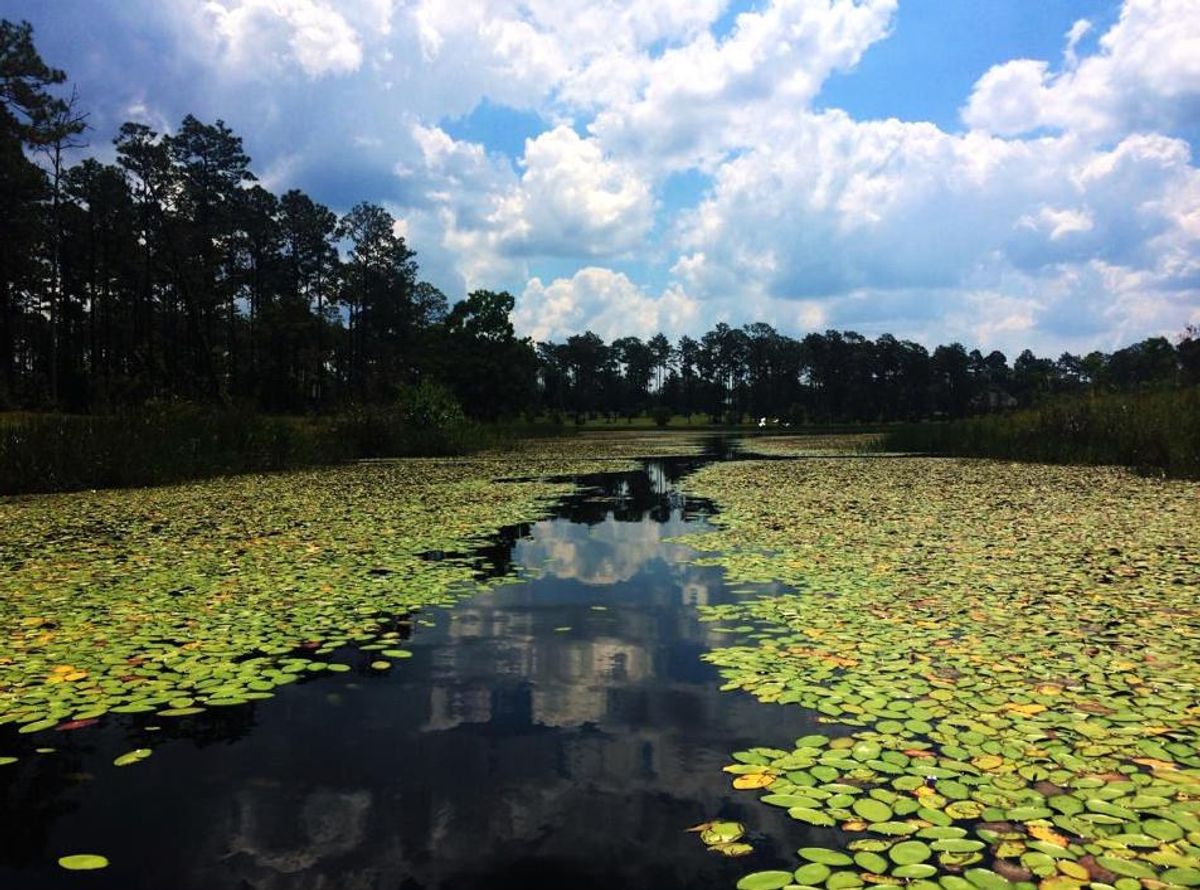 Summer In The South