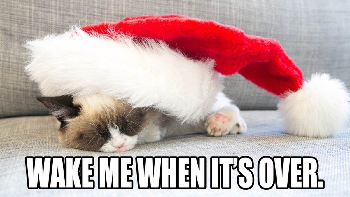 12 Days Of Christmas With Grumpy Cat