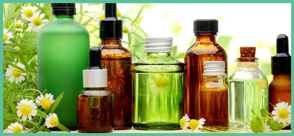 10 Best Organic Oils For Beautiful Skin And Hair