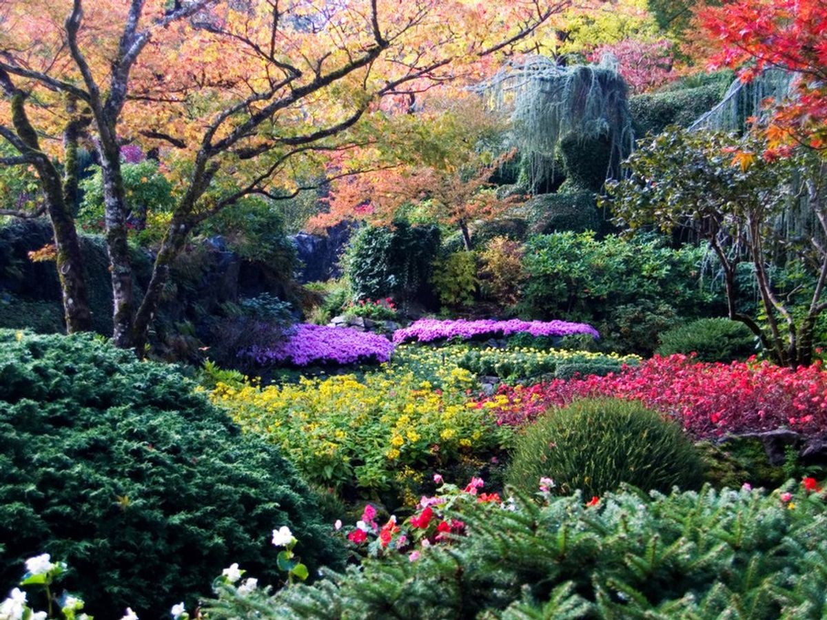 4 Of The World's Most Beautiful Public Gardens