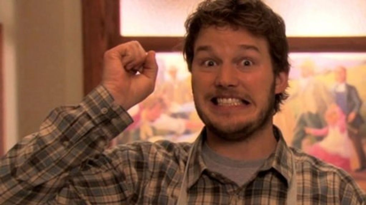 11 Reasons Why Andy Dwyer Is The Perfect Guy