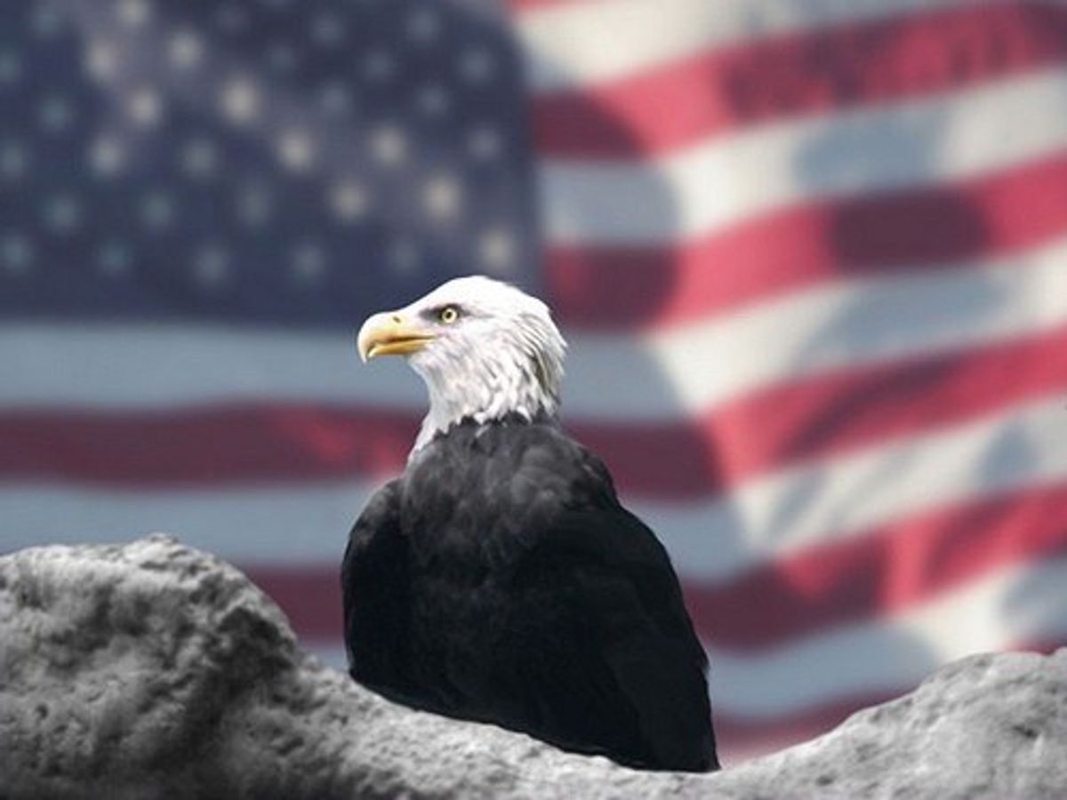 10 Signs That You're A True Patriot
