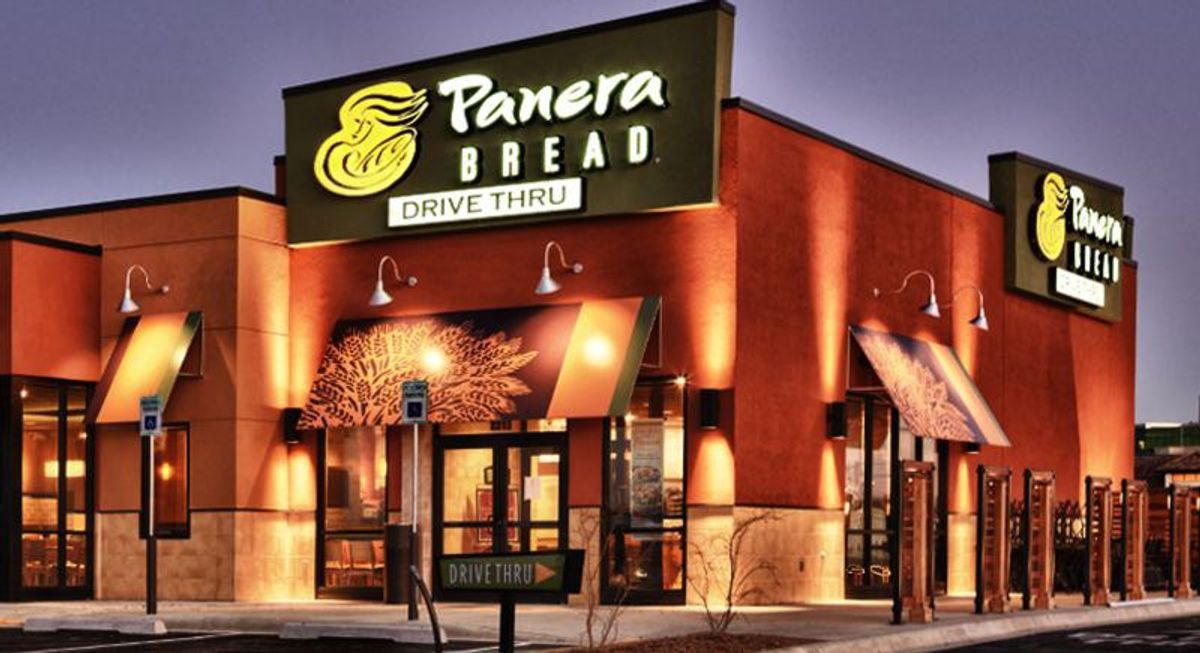 panera bread