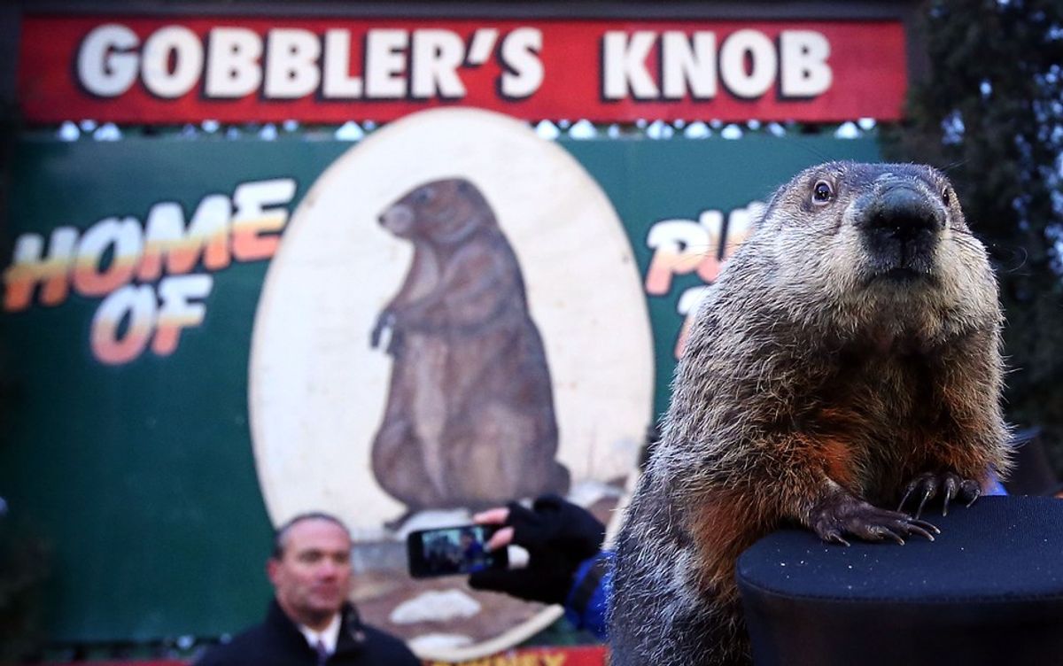 9 Things That Would Happen If Groundhog Day Was A Major Holiday