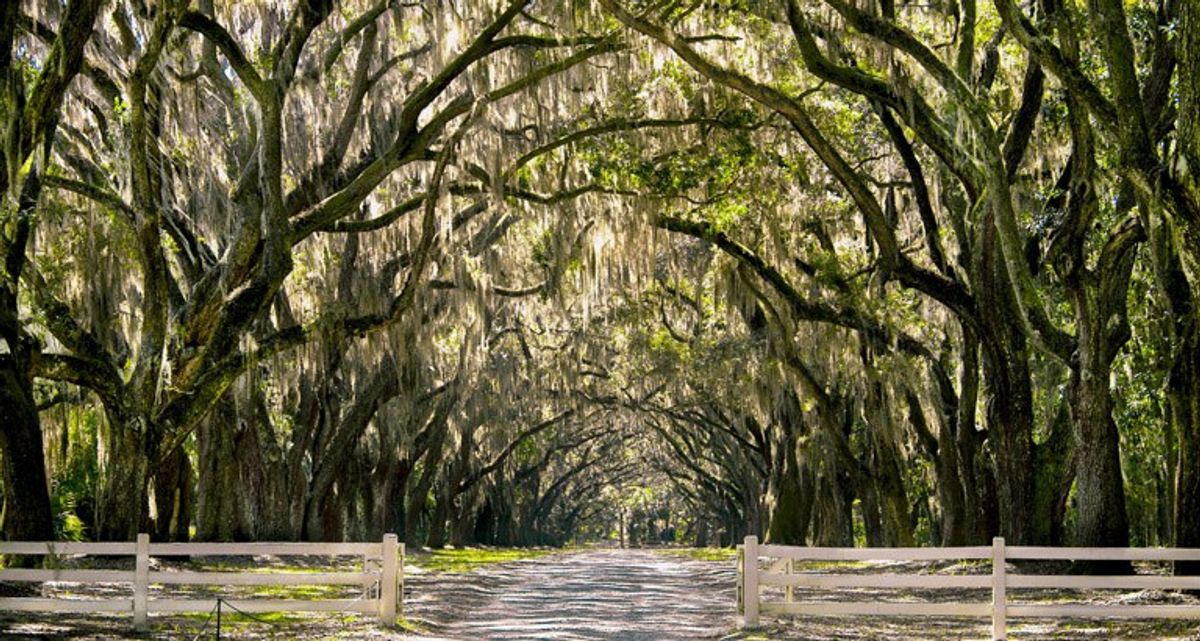 14 Things Everyone From The Low Country Can Relate To