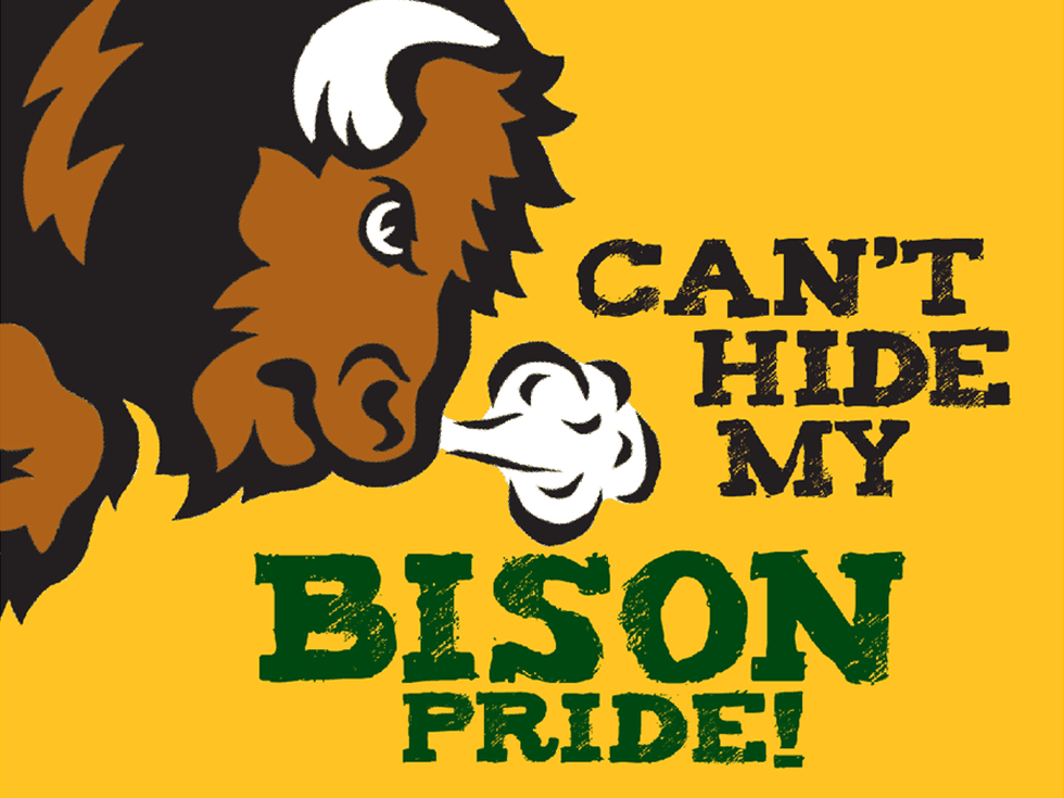 Bison Pride: How Does It Keep On Giving?