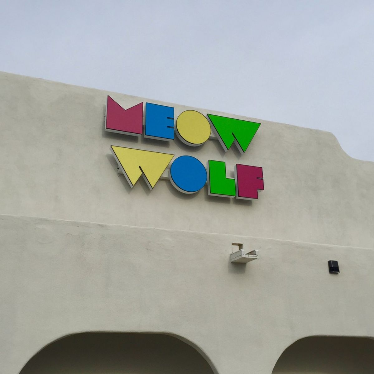 What Is Meow Wolf?