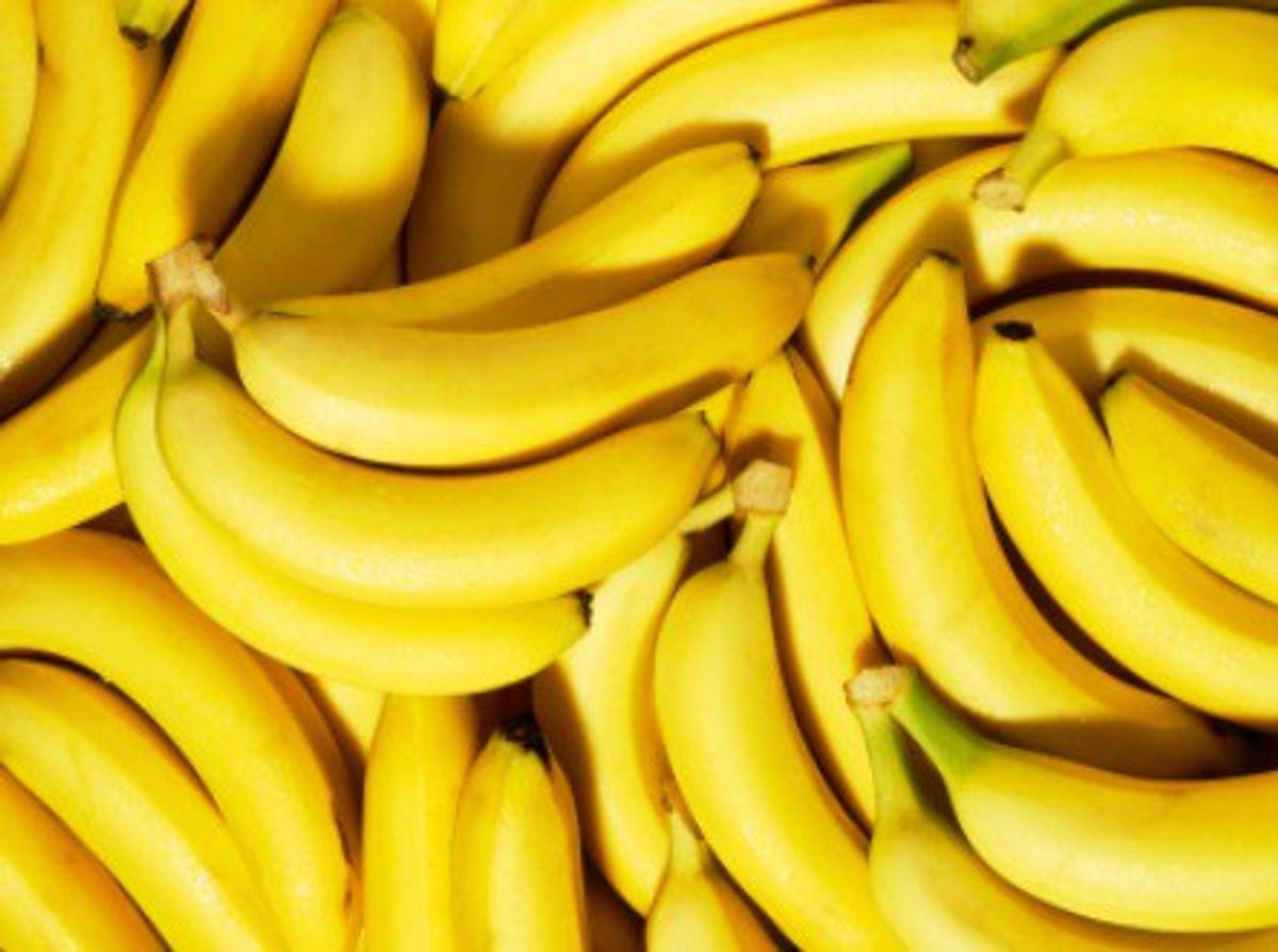 Bye Bye, Bananas: Why The Fruit Faces Possible Extinction