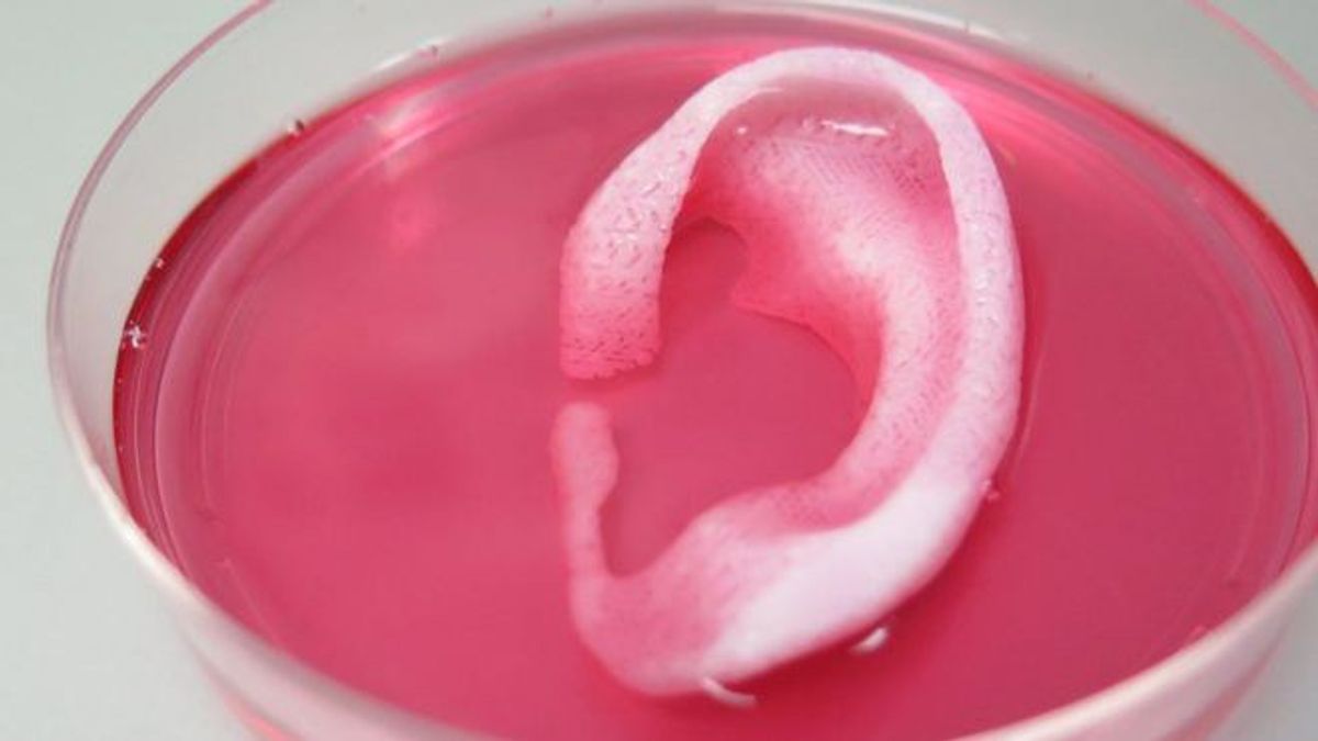 Scientists Are Now 3D-Printing Human Body Parts