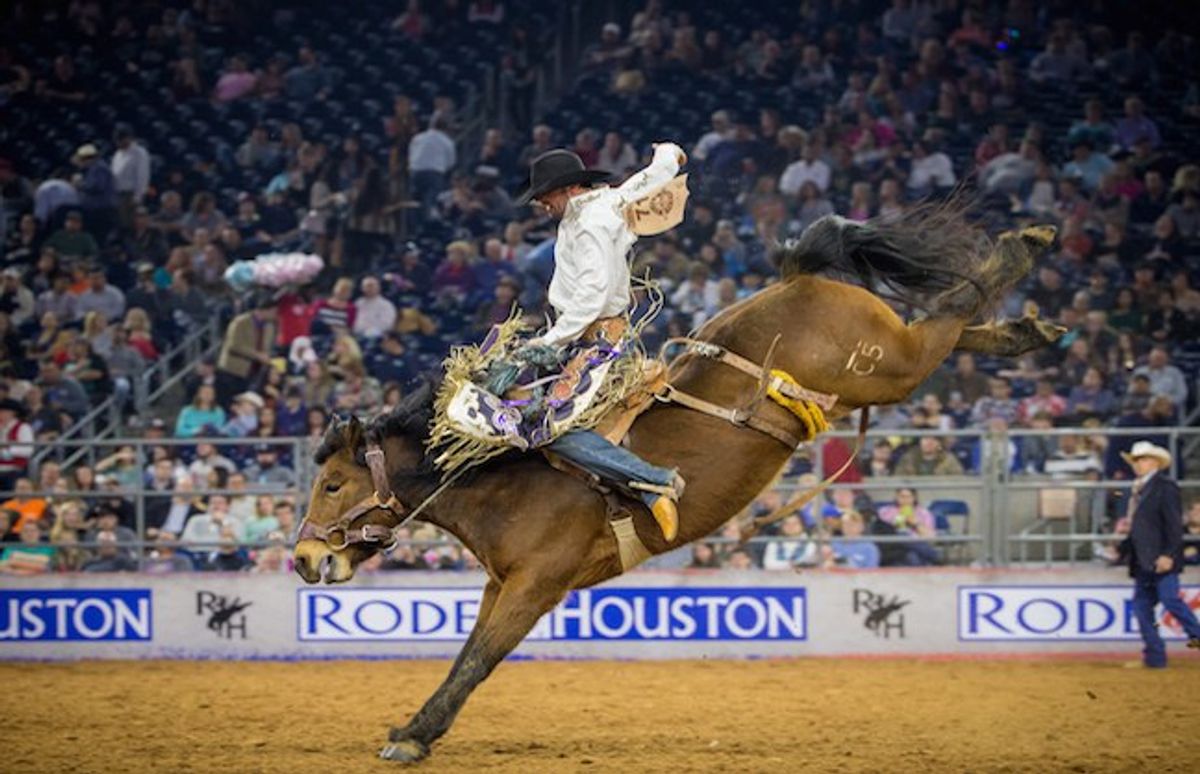 3 Reasons You Should Go To The Houston Rodeo