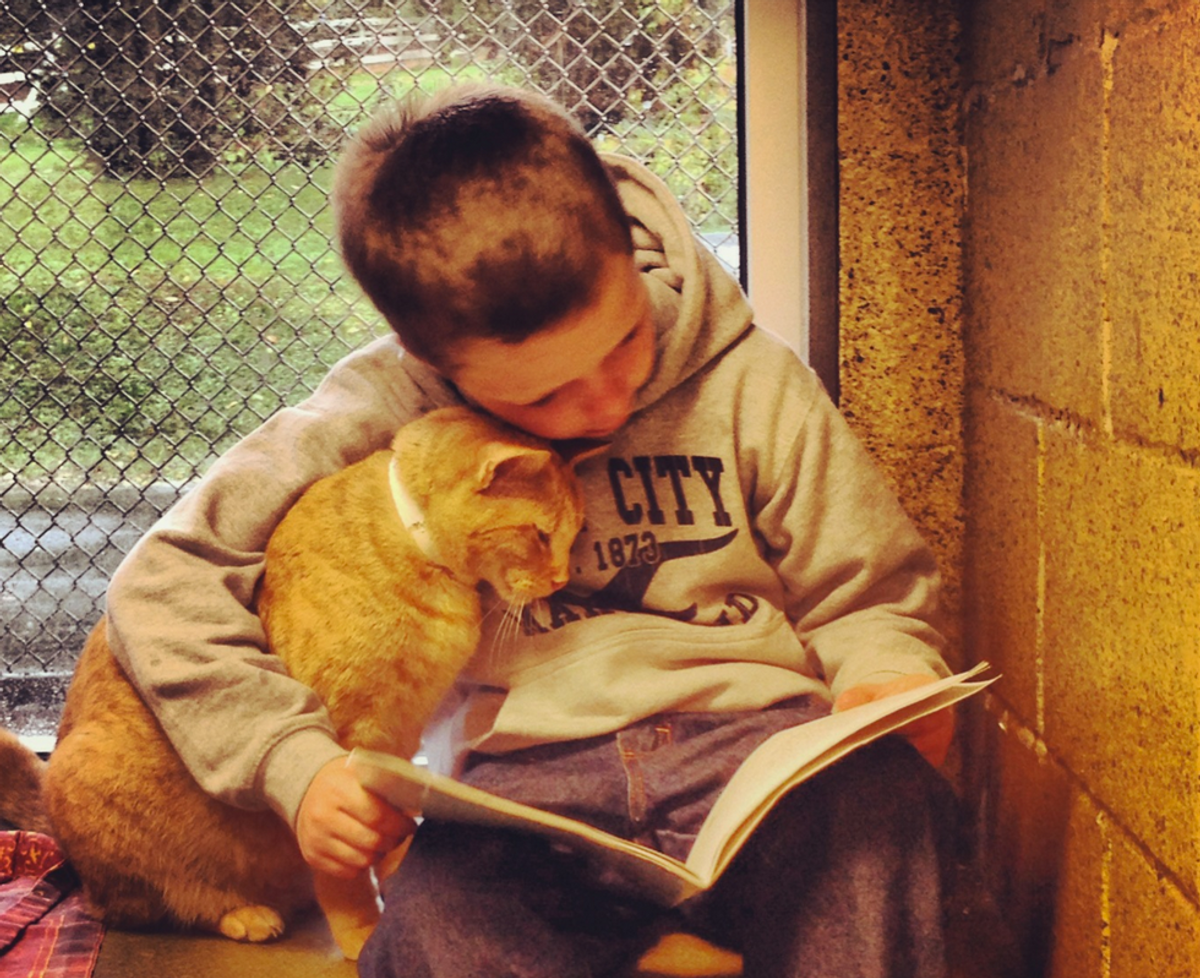 Children Read To Shelter Animals