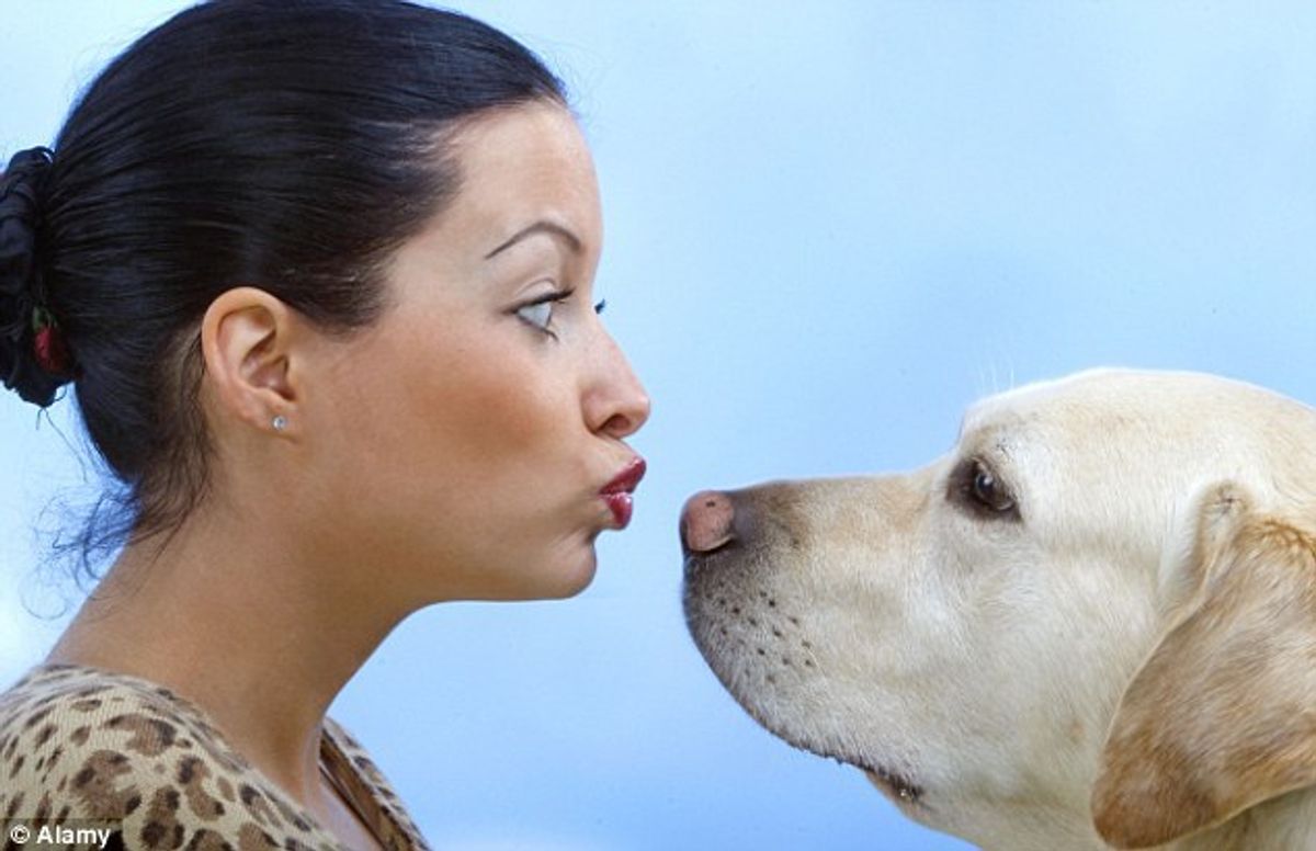 8 Signs You're Obsessed With Your Dog