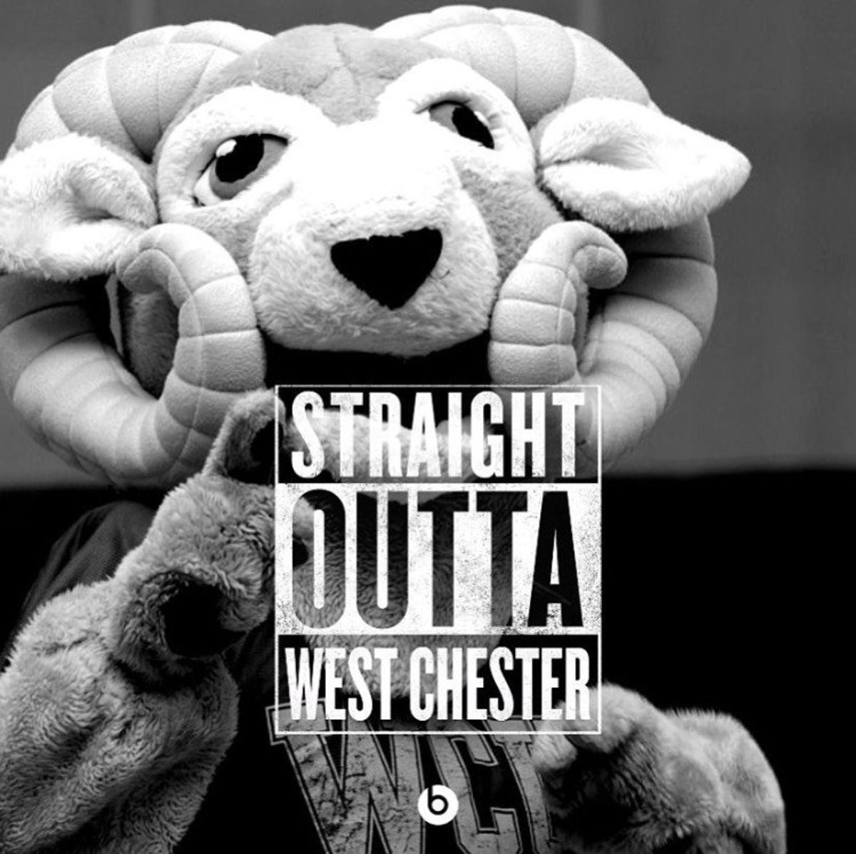 11 Reasons Why West Chester University Is The Wrong School To Go To