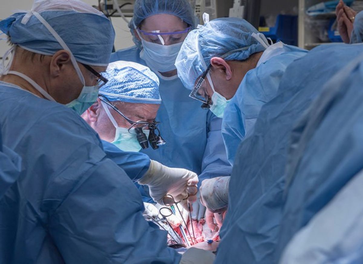 Doctors In The U.S. Have Successfully Transplanted A Uterus