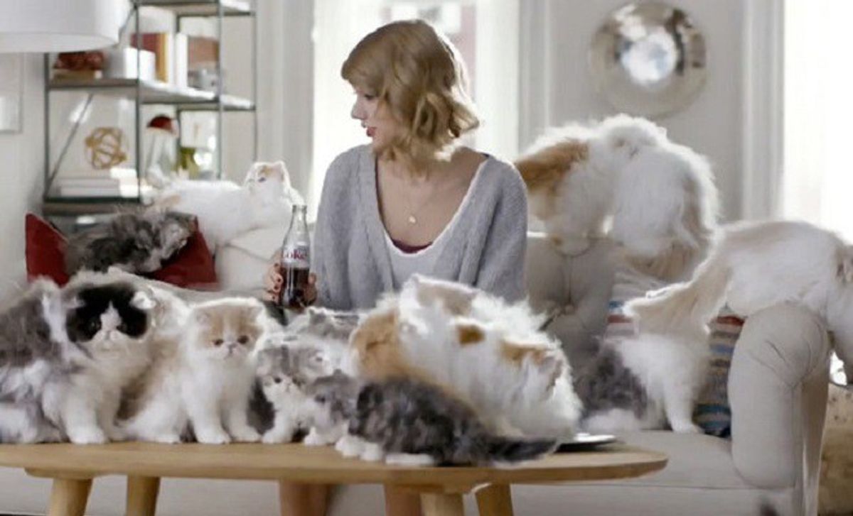 10 Signs You Might Be A Crazy Cat Lady