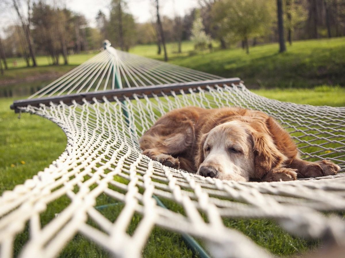 6 Ways To Find Relaxation When You Need A Break From The Daily Grind